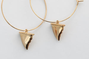 Large Shark Tooth Earrings