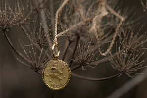 Medaille Zodiac - Pisces